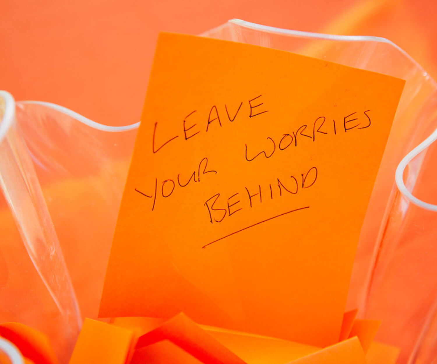 Leave your worries behind