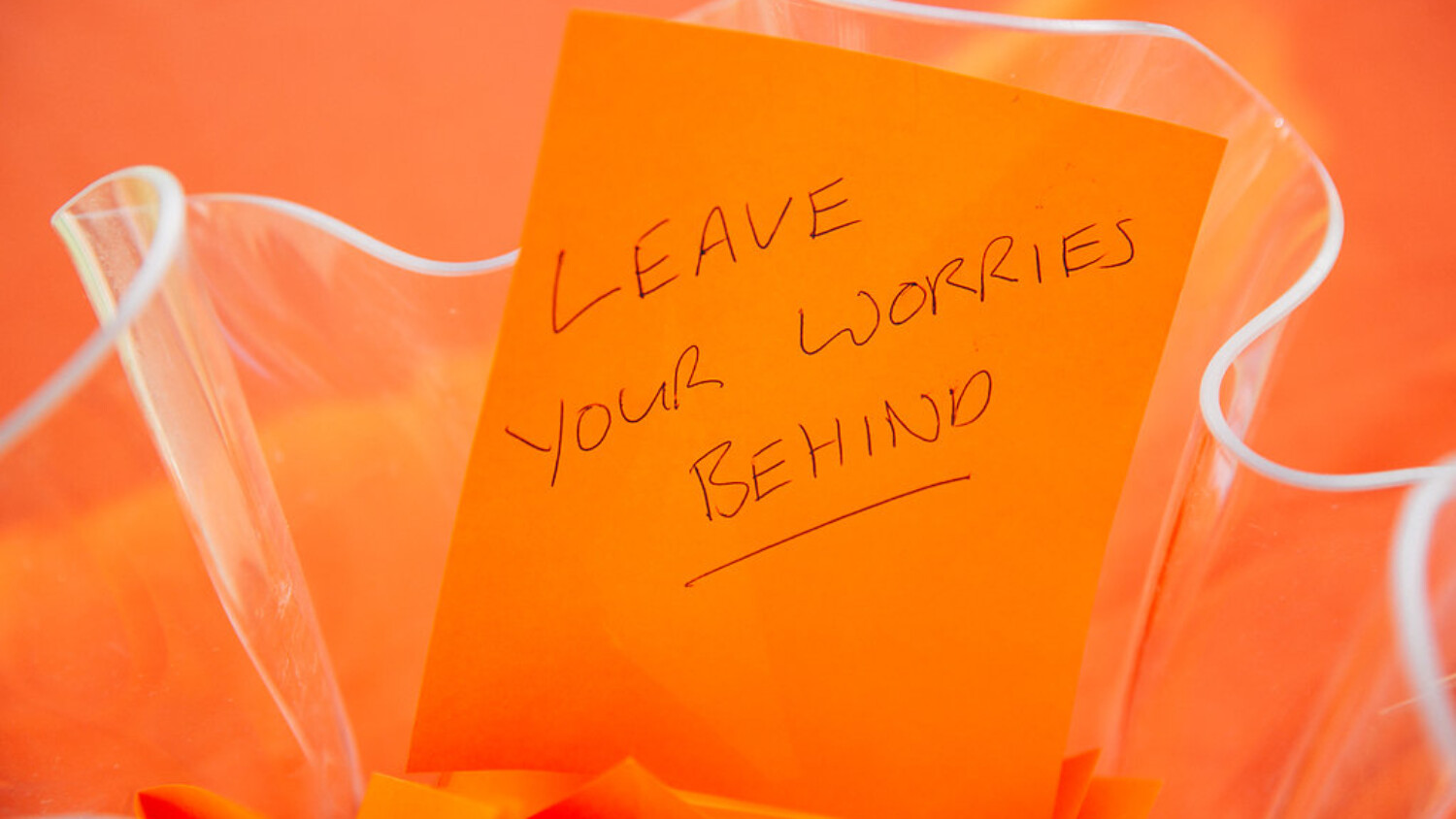 Leave your worries behind