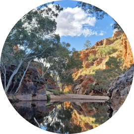 A natural reserve in Australia, with a body of water, gum trees, and mountain ranges in the distance.
